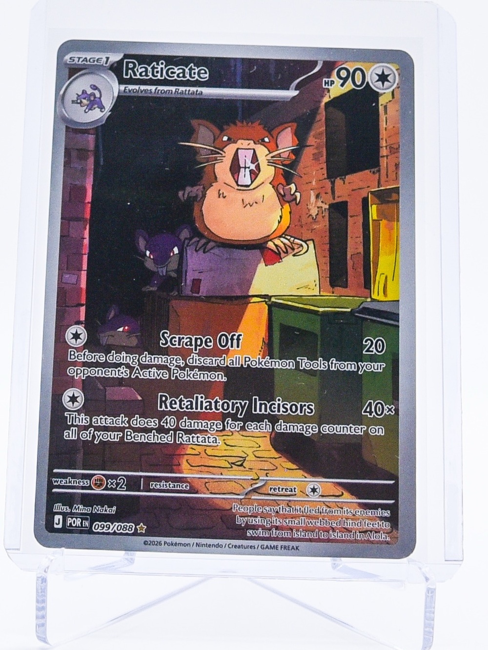 Pokemon Card Raticate 099/088 Illustration Rare Holo Perfect Order NM